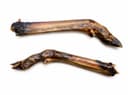 Deer hoof
