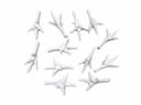 White chicken feet